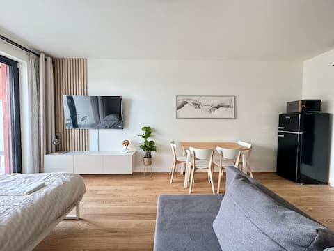 THE Basilej Apartment